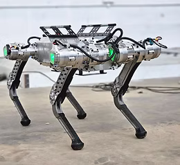Strider Quadruped Robot